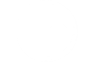 alist-painting-services-logo-box-shite