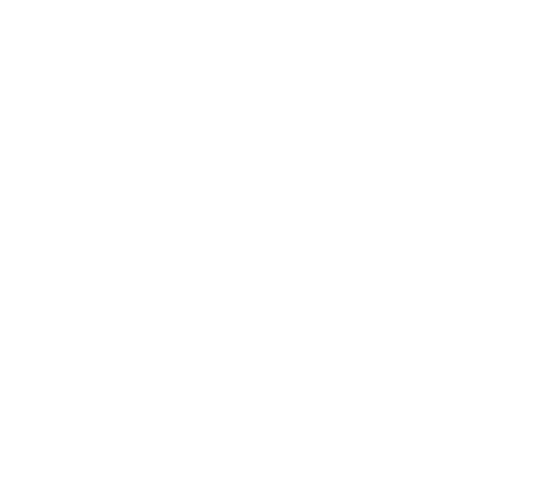 alist-painting-services-bg-logo